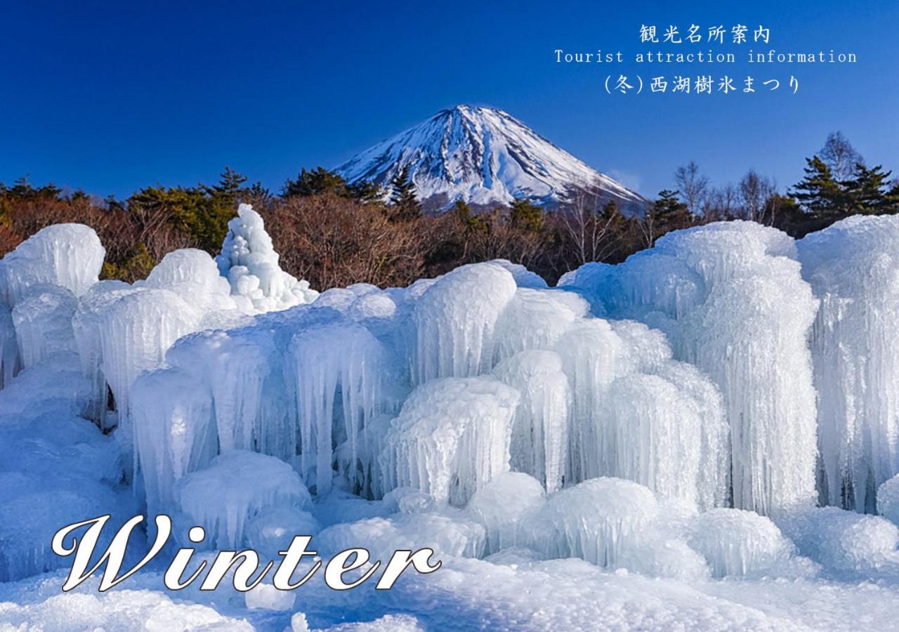 Station Villa Plaisir Mt. Fuji Fujikawaguchiko Exterior foto