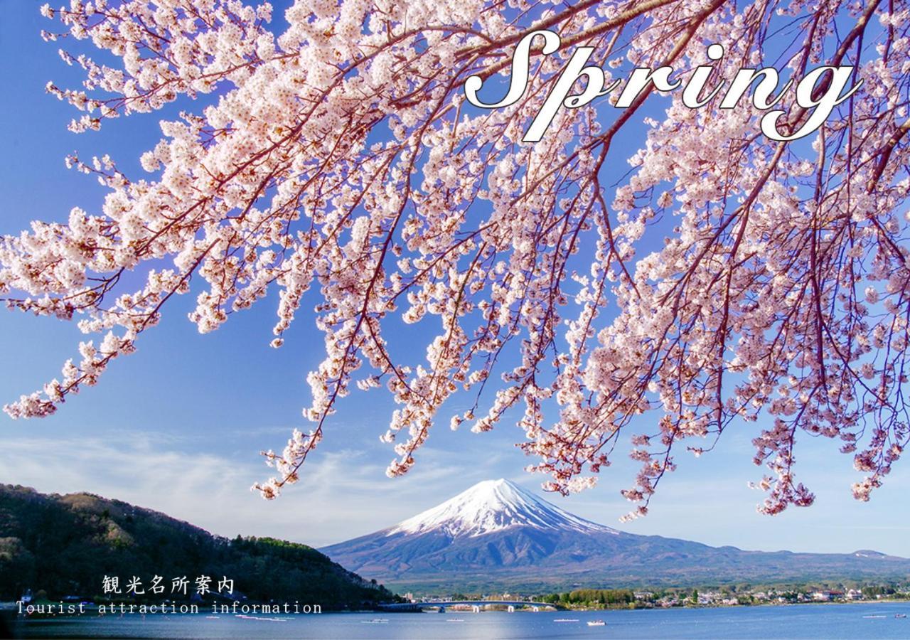 Station Villa Plaisir Mt. Fuji Fujikawaguchiko Exterior foto